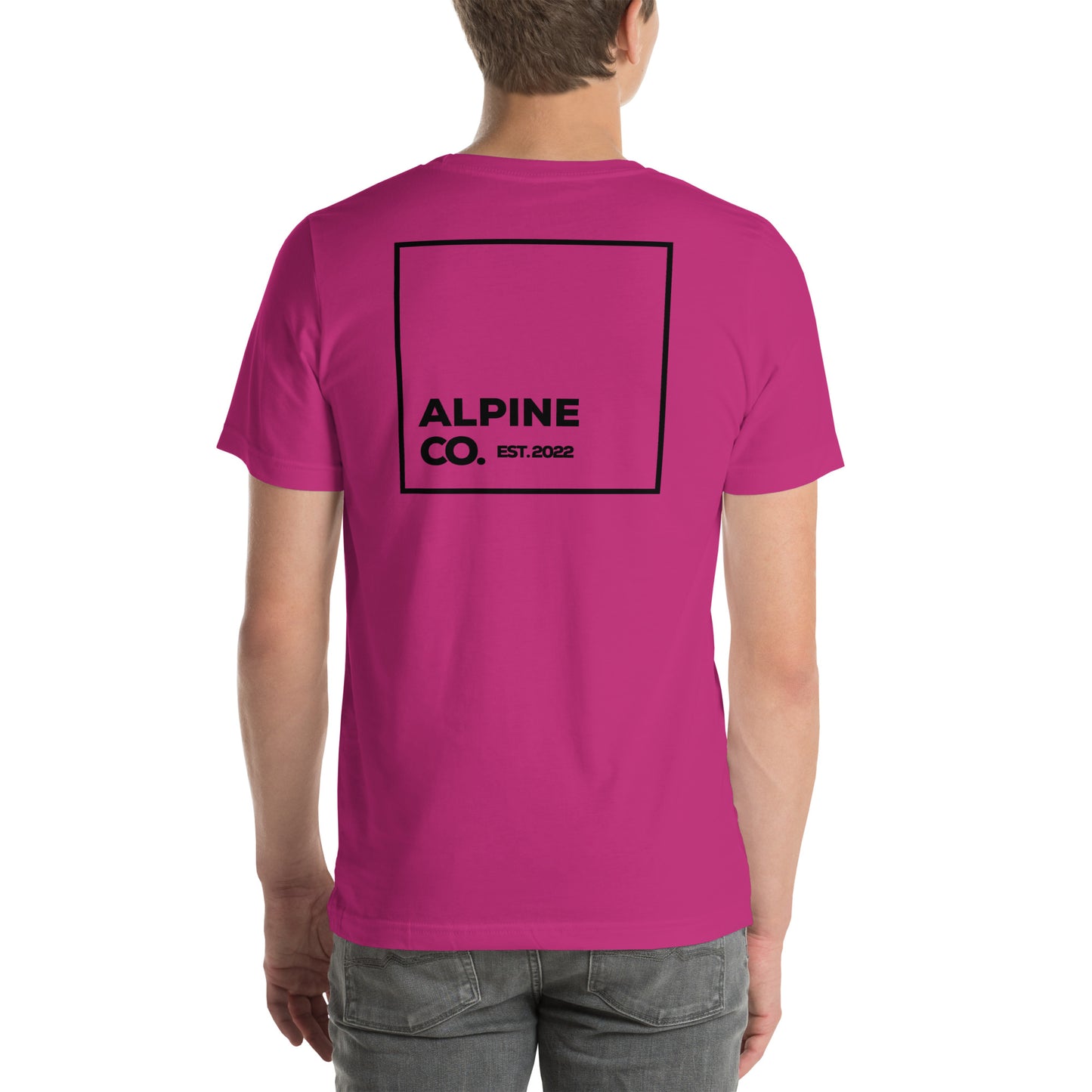 Alpine Square Unisex t-shirt