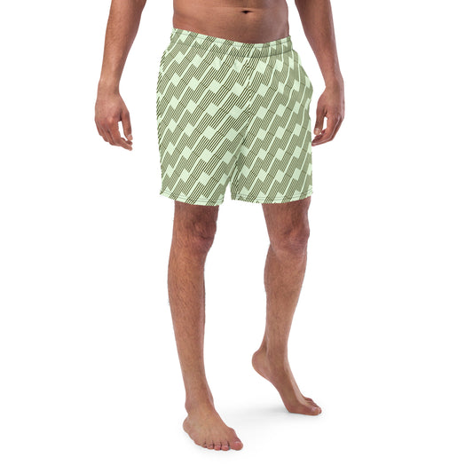 Zig Men's swim trunks